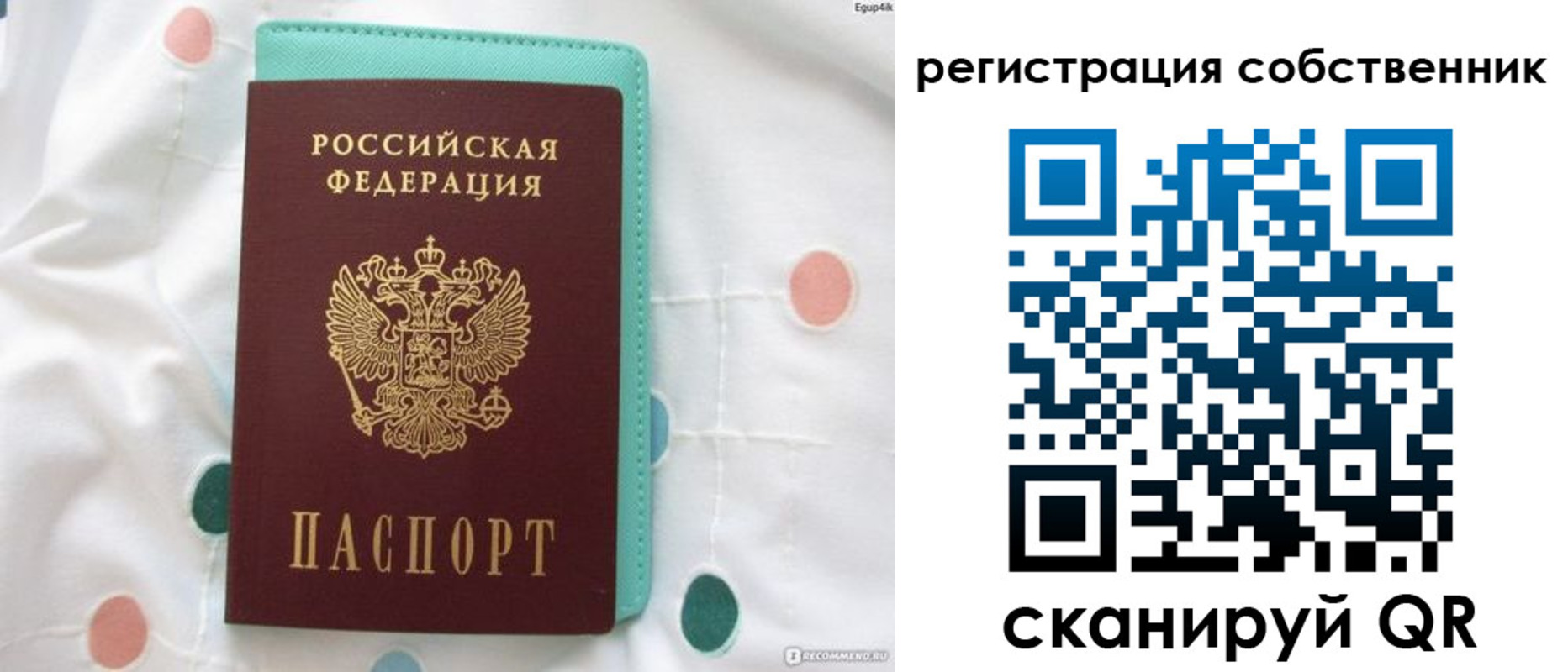 прописка для школы в Черногорске